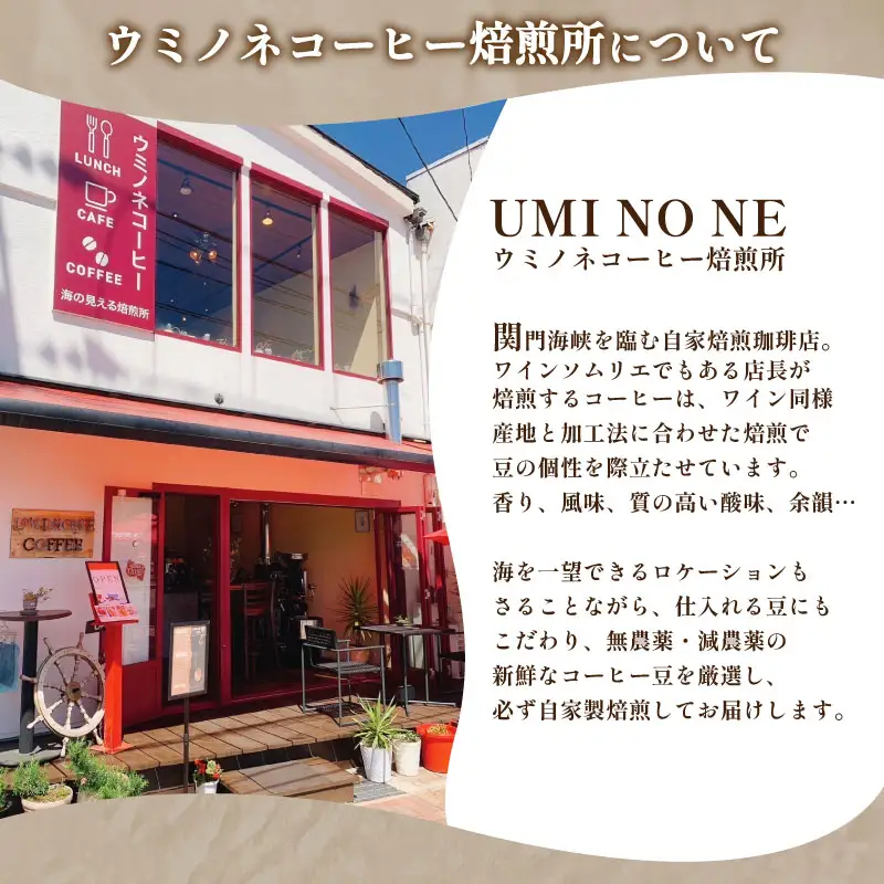 【豆】 訳あり コーヒー豆 お試し 150g ブラジル コーヒー EW 