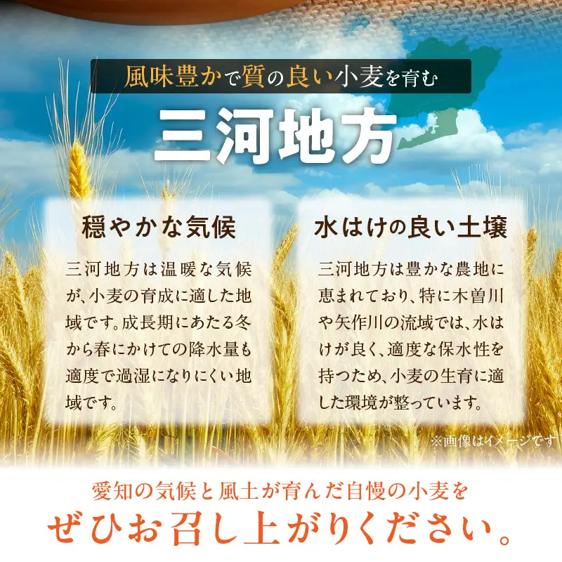 （お試し）【小麦粉】愛知県産 ゆめあかり 国産 パン用 強力粉 1kg×2袋（計2kg） H008-296