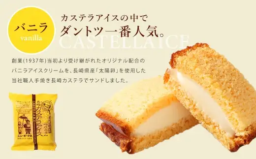 長崎カステラアイス （ バニラ ） 計6個 長崎カステラ カステラ かすてら アイス カステラアイス お菓子 菓子 おかし 洋菓子 スイーツ 冷凍