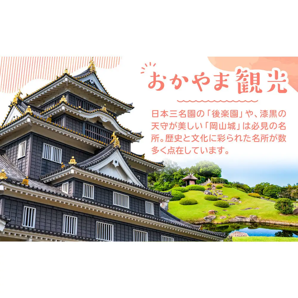 〈すわき後楽中華そば〉醤油ラーメン（4食入り）〈高島屋選定品〉