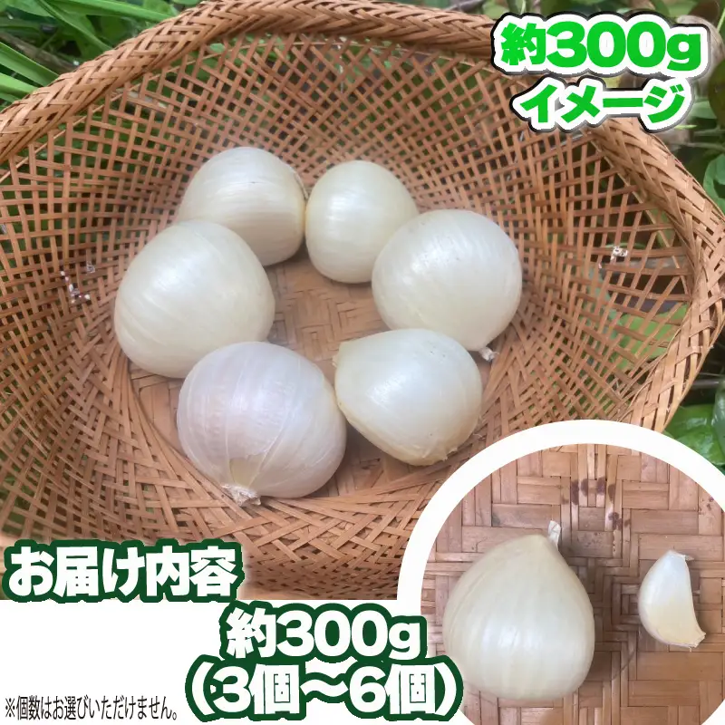 ジャンボにんにく 300g（3～6個）ニンニク