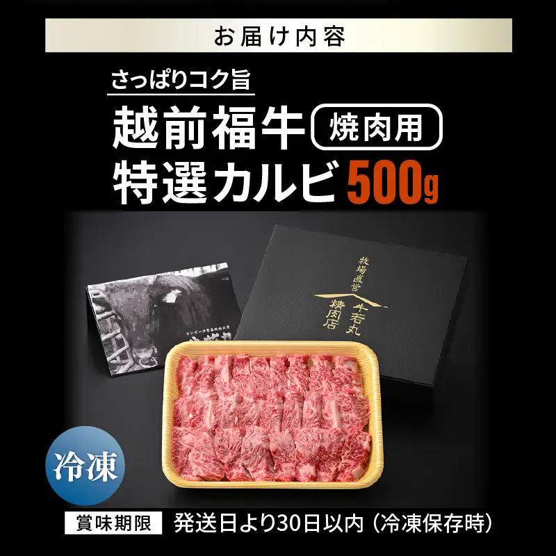 希少 越前福牛 特選カルビ 焼肉用 500g 牛肉 国産和牛 カルビ 冷凍 贈答 ギフト [B-1806] 