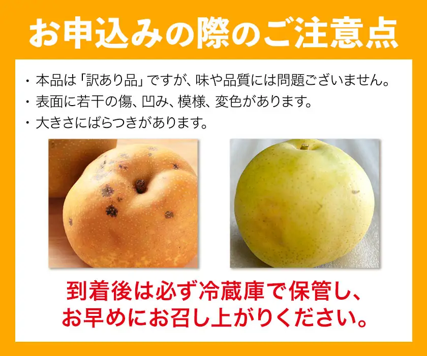 【2ヶ月定期便】先行予約 訳あり 旬の梨 計8kg 約4kg×2回 幸水 豊水 あきづき 新高 にっこり