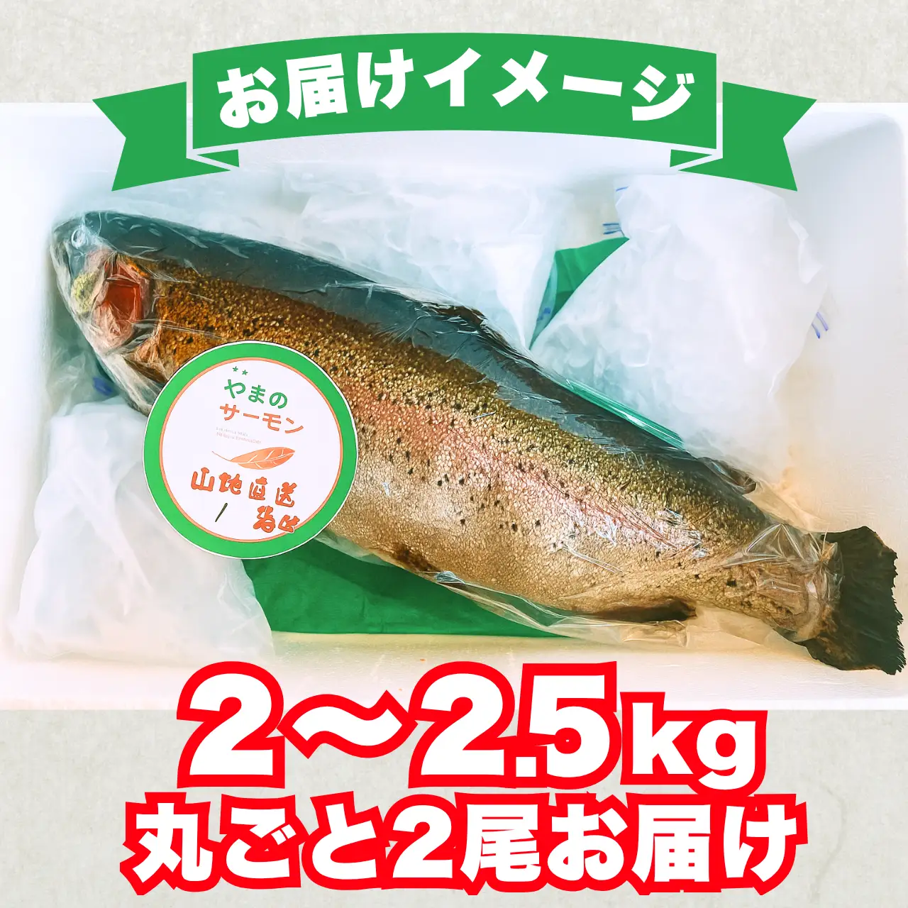 サーモン 丸ごと1尾 2.0～2.5kg 2尾 [D-050004]サーモン