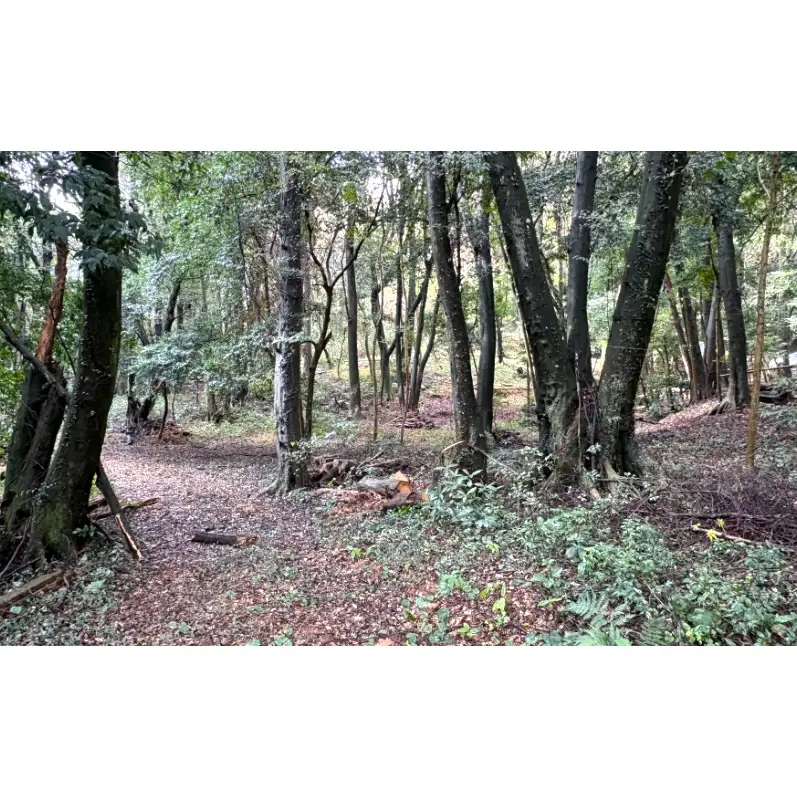 チケット 山林レンタルチケット 小郡市津古地区 1区画 6ヶ月