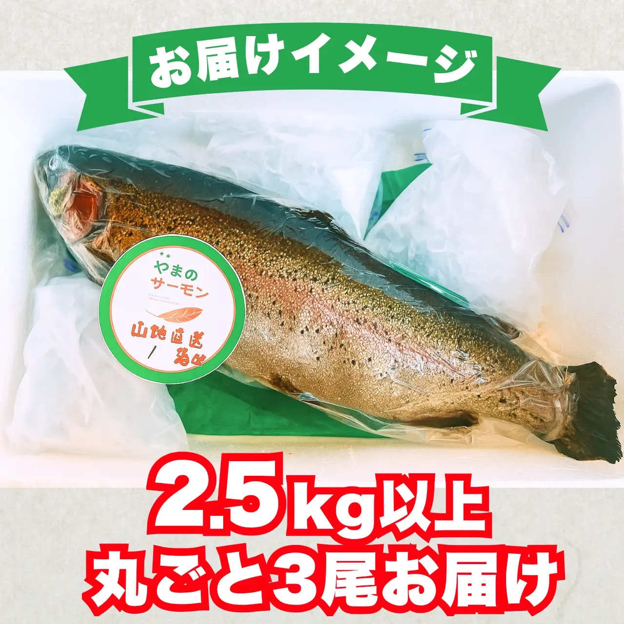 サーモン 丸ごと1尾 2.5kg以上 3尾 [H-050002]サーモン