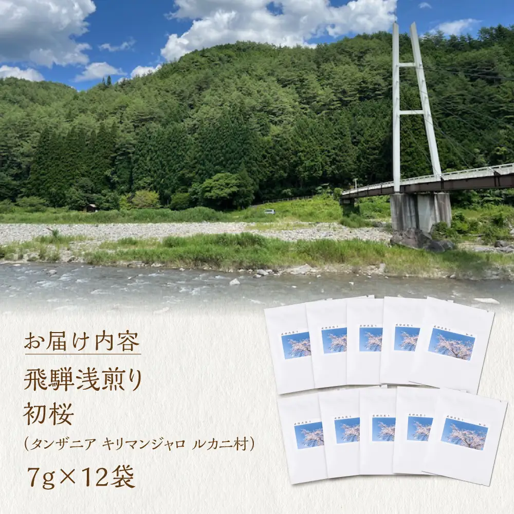 ノルディックロースト 飛騨浅煎り 初桜×12袋 （コーヒーバッグ）｜珈琲 コーヒー 珈琲  LC016