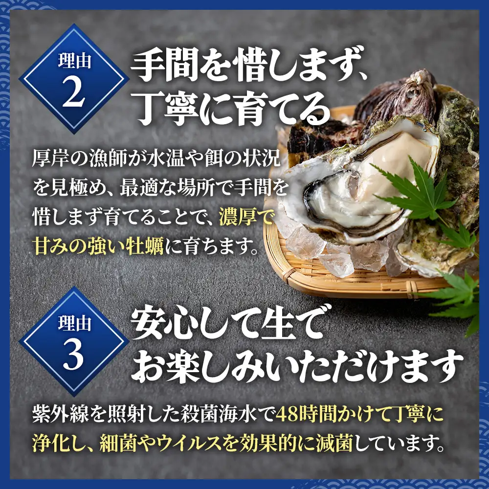 厚岸産牡蠣 カキえもん 2Lサイズ 6個 ブランド牡蠣