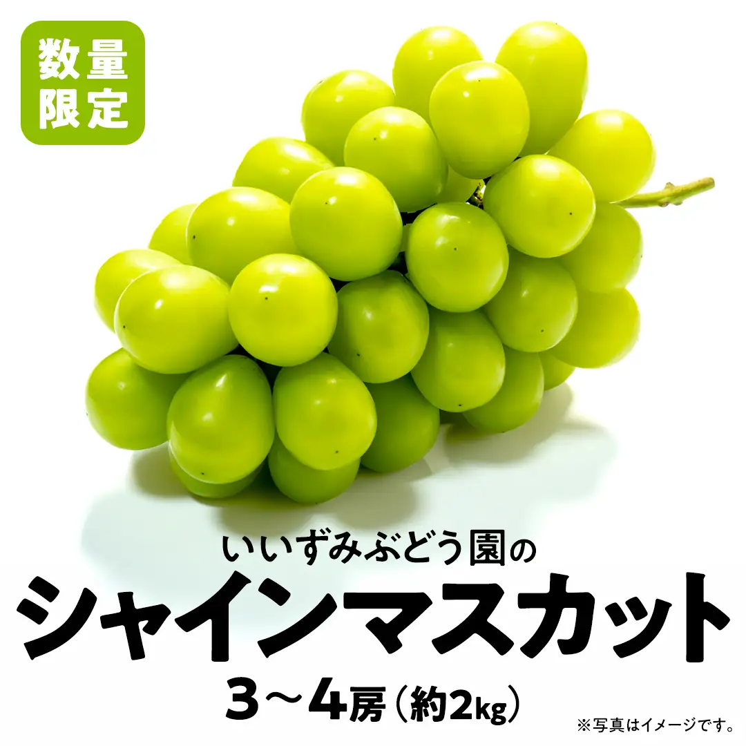【 先行予約 ・ 数量/期間限定 】 シャインマスカット 3～4房（約2kg ）
