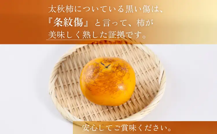 先行予約 柿 太秋柿 2kg くまふる宇城