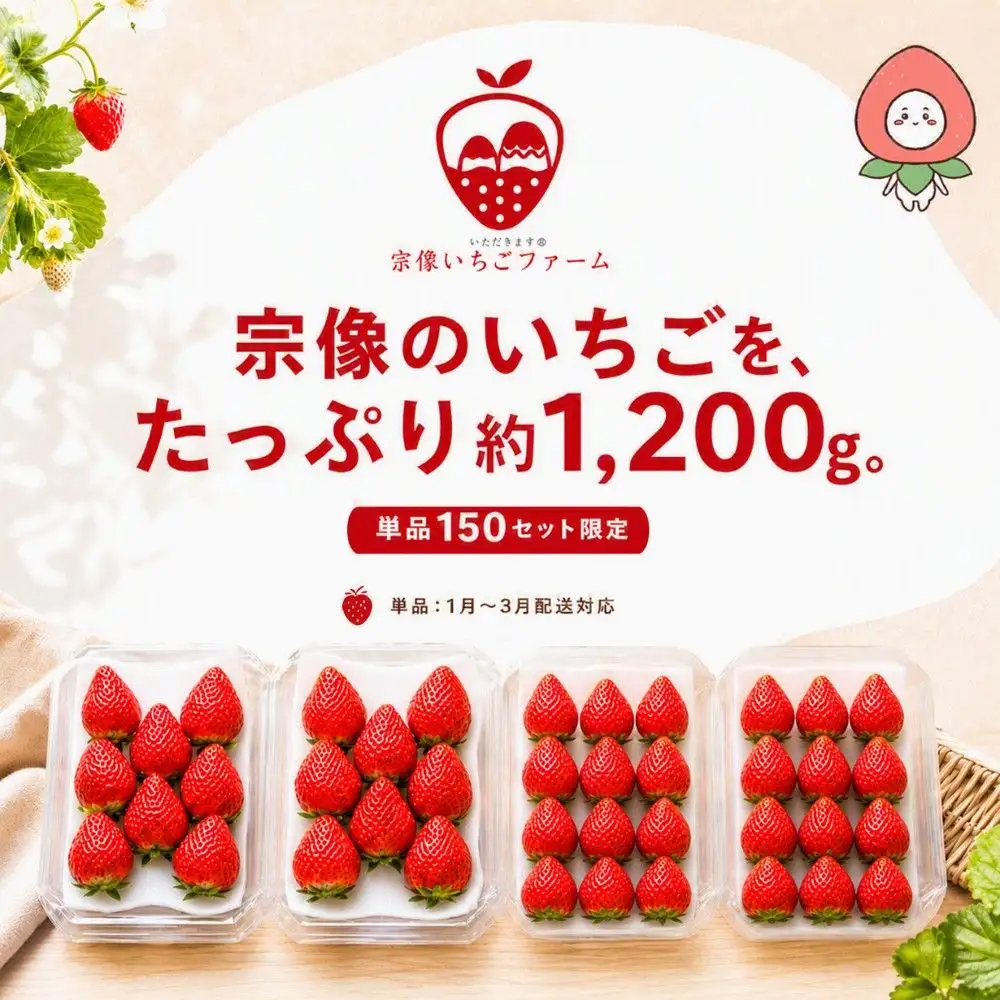 【先行予約】【2027年1月より順次発送】人気のいちご 2品種食べ比べセット【宗像いちごファーム】_HA2067 苺 イチゴ あまおう おいCベリー 福岡県宗像市 宗像市 福岡 宗像