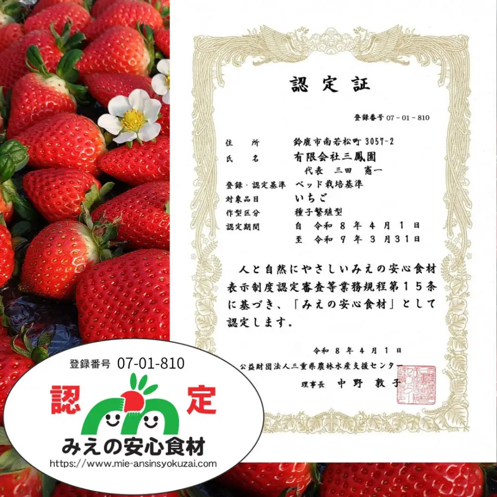 【先行予約！】2027年2月以降順次発送　食べ比べ「よつぼし」「うた乃」200ｇ×4パック