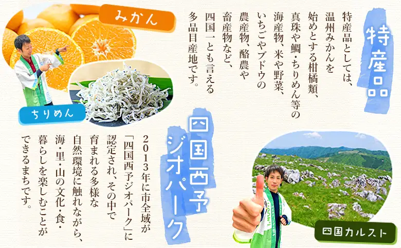 ＜温州みかんジュース 720ml×6本＞『1か月以内に順次出荷予定』果汁100％ ストレート 温州ミカン 果物 フルーツ みかん ミカン 蜜柑 柑橘類 濃厚 飲料 ソフトドリンク 飲み物 果汁飲料 特産品 柑橘園柴田 愛媛県 西予市【常温】MKE0014