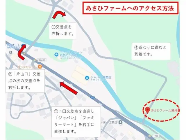  【大阪・能勢】あさひファーム シャインマスカットなど旬のぶどう狩り体験・2房（1kg相当）付 | 夢ぶどう | 大阪府 能勢町 送料無料