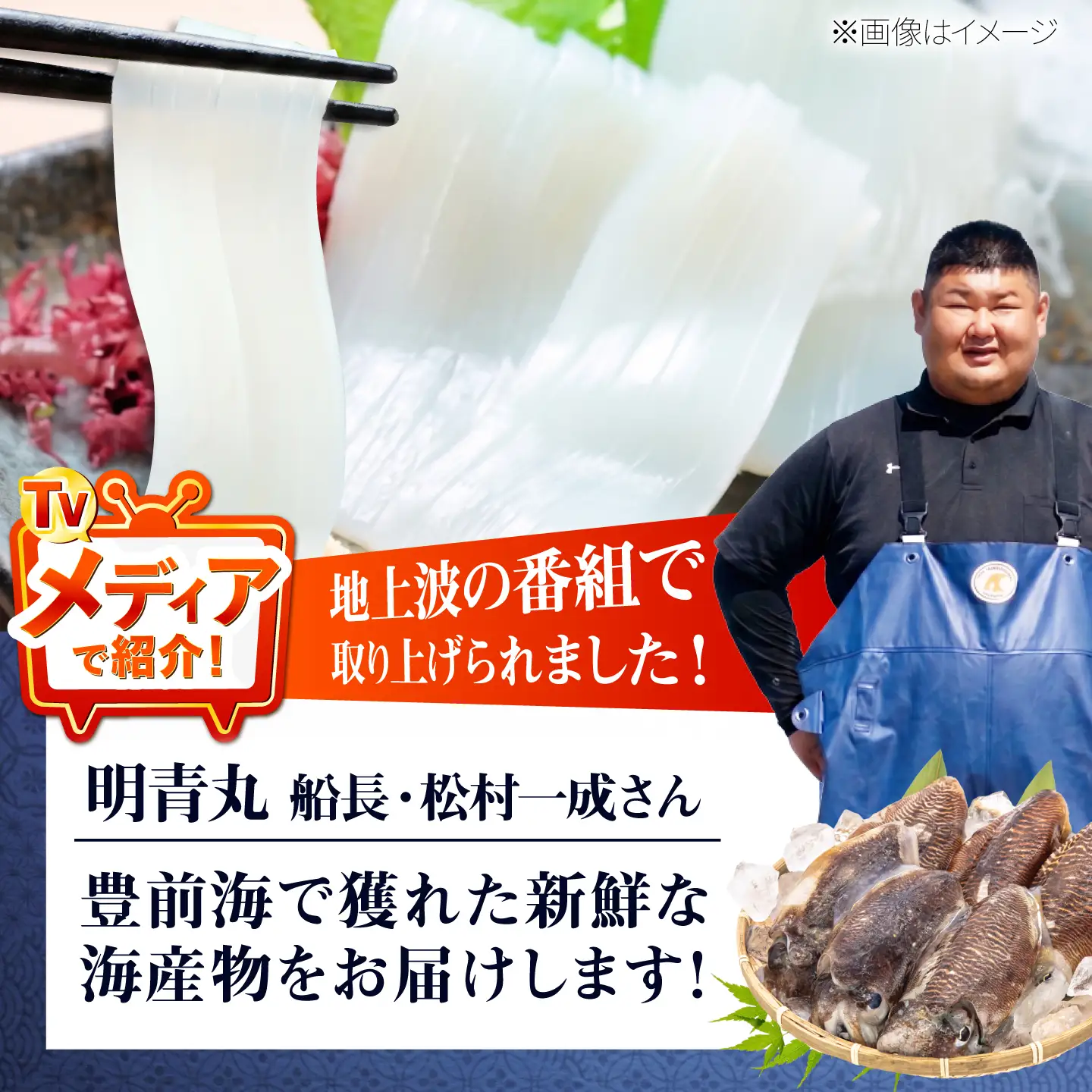 【先行予約】コウイカ 約3kg (7〜15杯)【2027年3月下旬以降順次発送】《築上町》【明青丸】いか イカ 烏賊[ABCB008]