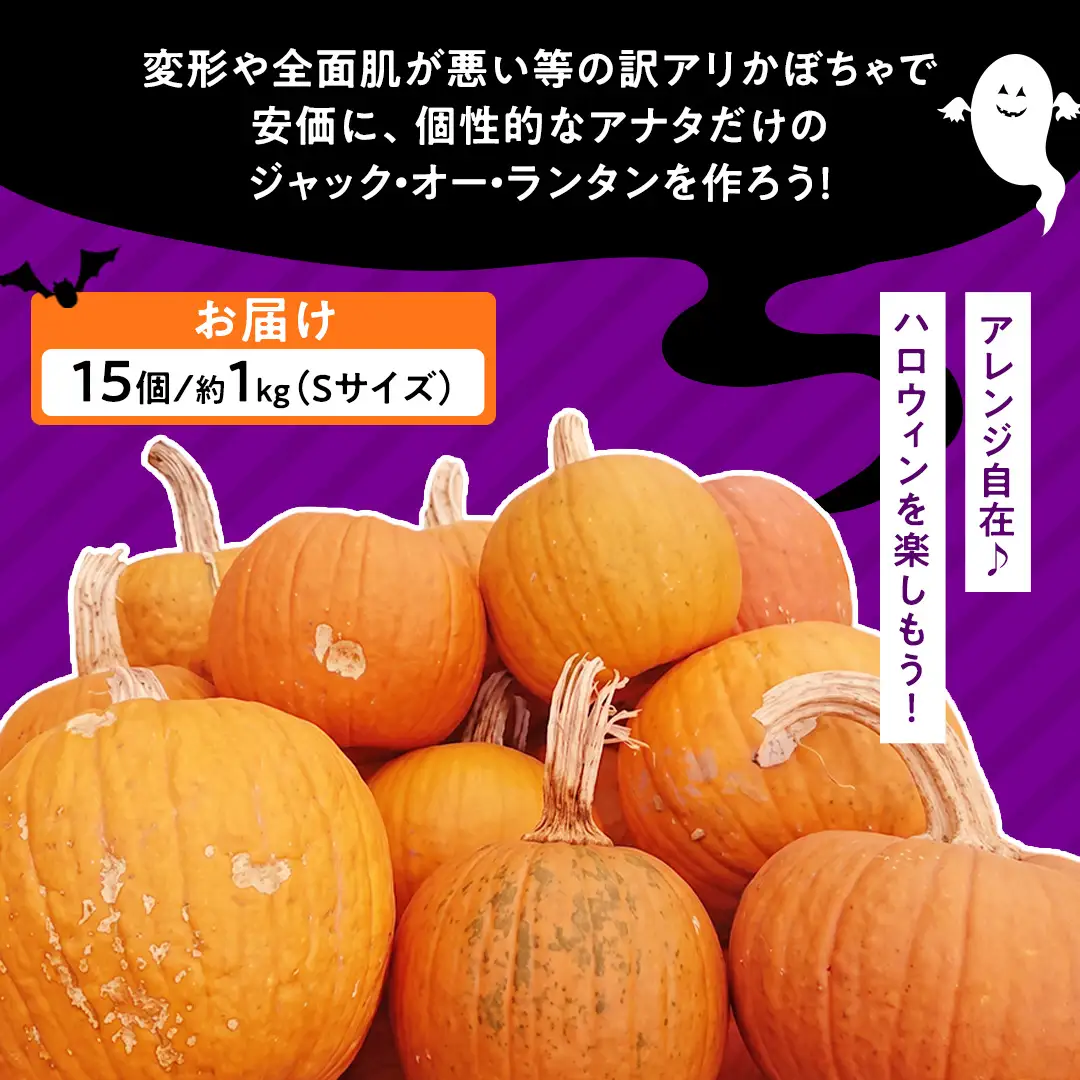 【訳あり】ハロウィン かぼちゃ 15個 ボリュームセット 計1kg Sサイズ (CG003)