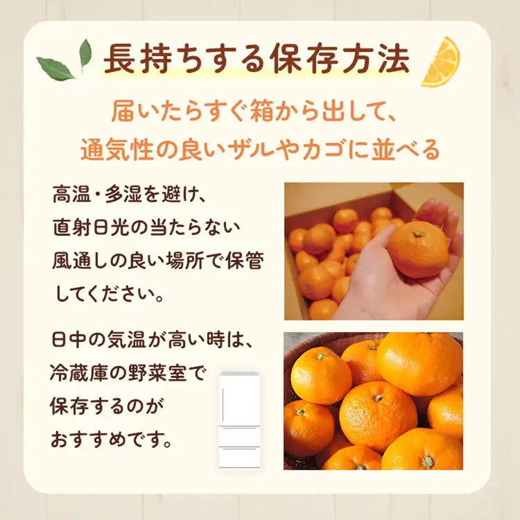 【先行予約】【贈答用・秀品】紀州和歌山産 温州みかん 約1kg（箱込み）M～2L サイズ混合（極早生・早生・中生）