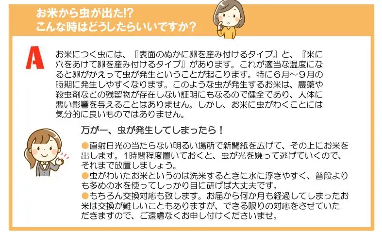 令和8年産米　花巻ひとめぼれ4kg（2kg×2袋）【2446】