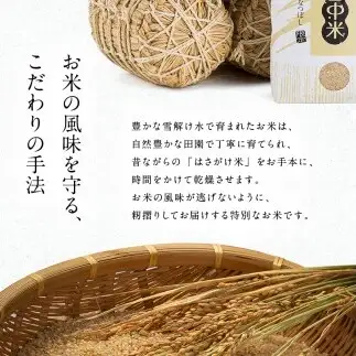 令和8年産【定期便4ヶ月】ななつぼし 玄米 5kg(5kg×1袋)【12月発送