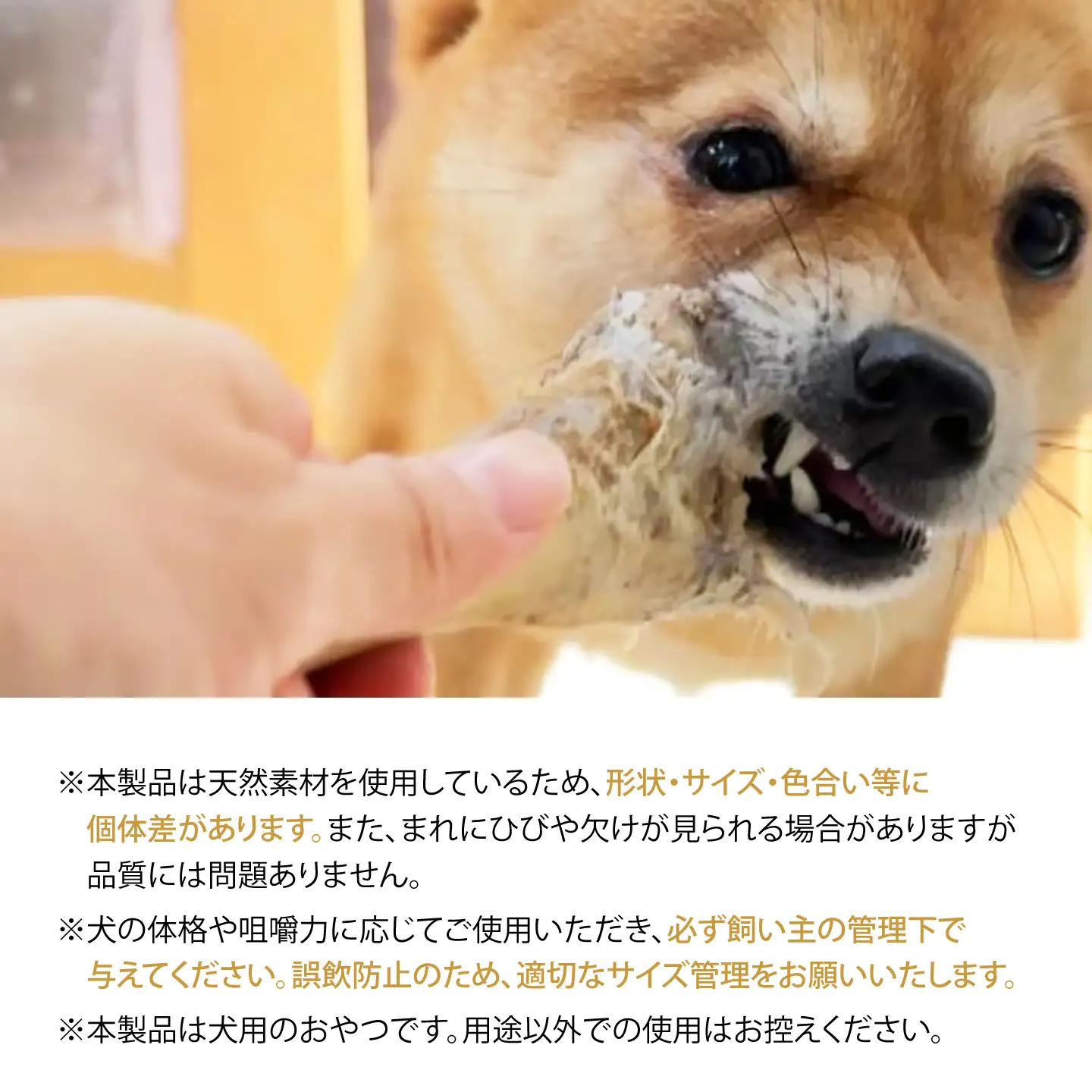 【全3回定期便】 犬用 高級 デンタルケア 【 犬道・極 】 エゾ鹿 骨セット 800g以上 [AOEZ002]