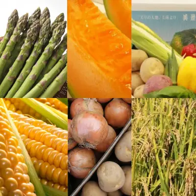 野菜 定期便【令和9年産 先行予約】6回便 野菜セット 美景農園