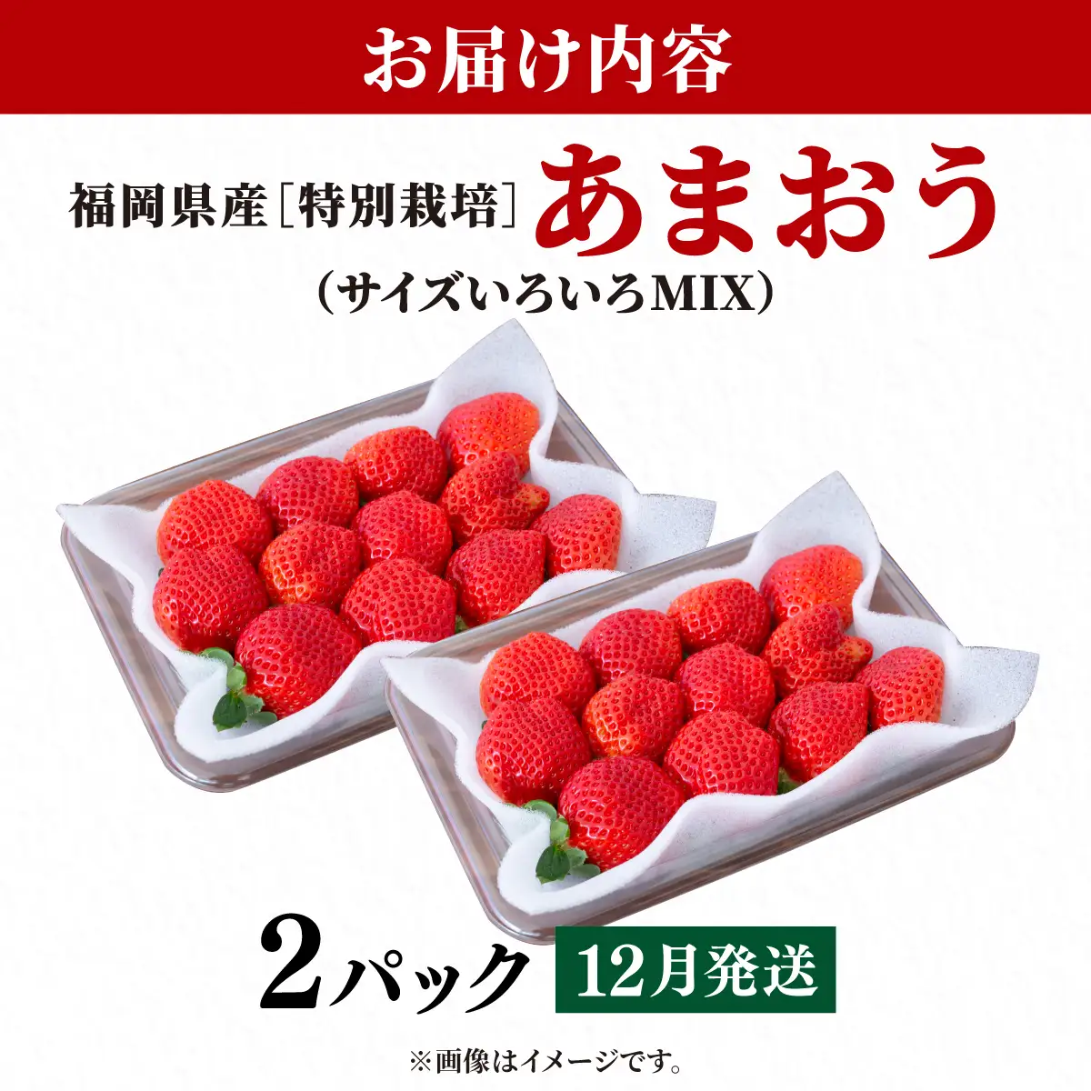 いちご 福岡県産 特別栽培 あまおう サイズいろいろMIX 約570g（約285g×2パック）【12月発送】
