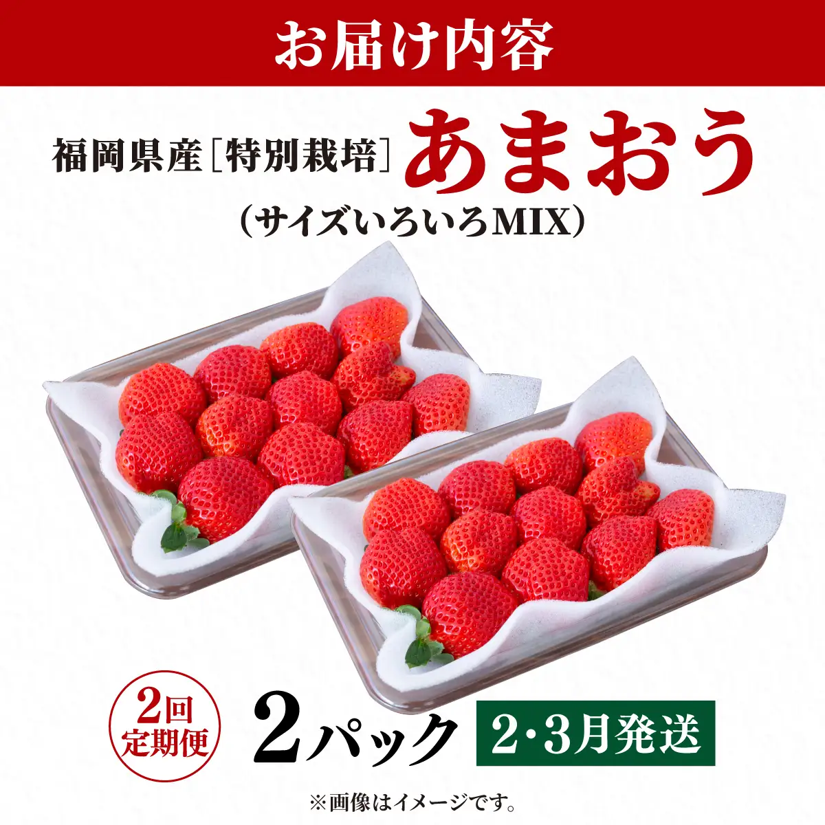 いちご 福岡県産 特別栽培 あまおう サイズいろいろMIX 約570g（約285g×2パック）【2回定期便（2～3月発送）】