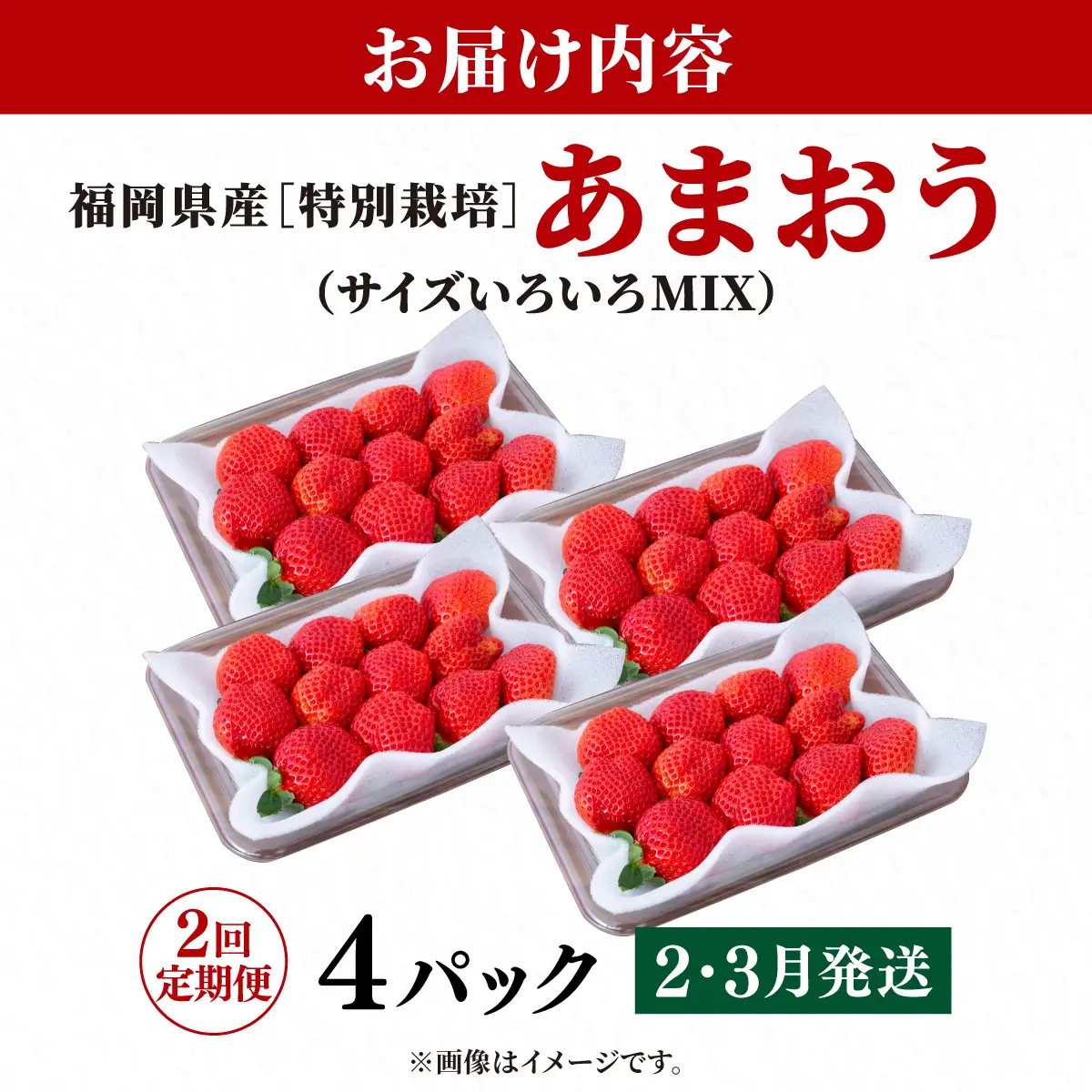 いちご 福岡県産 特別栽培 あまおう サイズいろいろMIX 約1140g（約285g×4パック）【2回定期便（2～3月発送）】