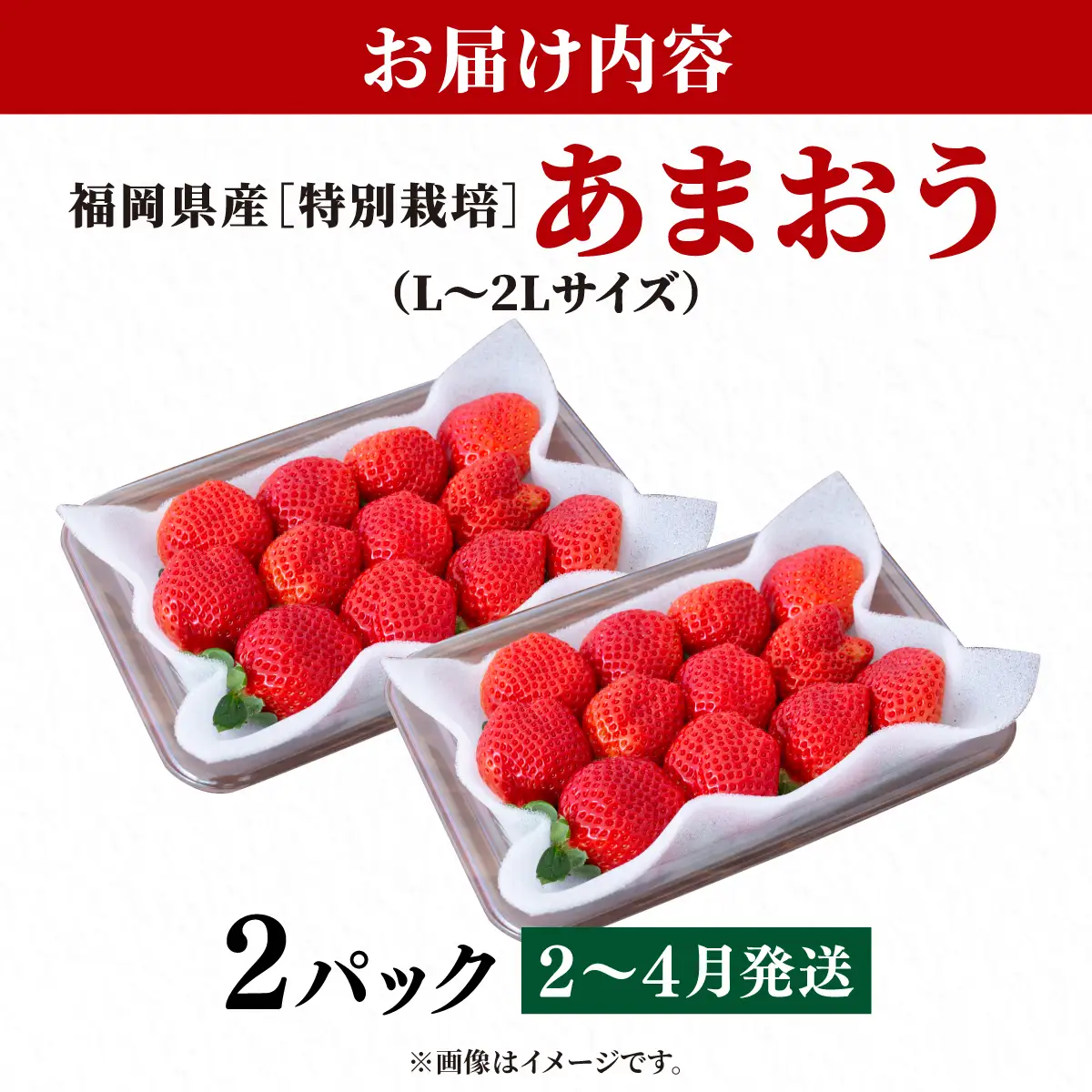 いちご 福岡県産 特別栽培 あまおう L~2Lサイズ（少し小ぶりサイズ）約570g（約285g×2パック）【2～4月発送】| 農園直送 アフター保証 先行予約 福岡産 送料無料 ケーキ ギフト お祝い 限定 季節限定 UN009