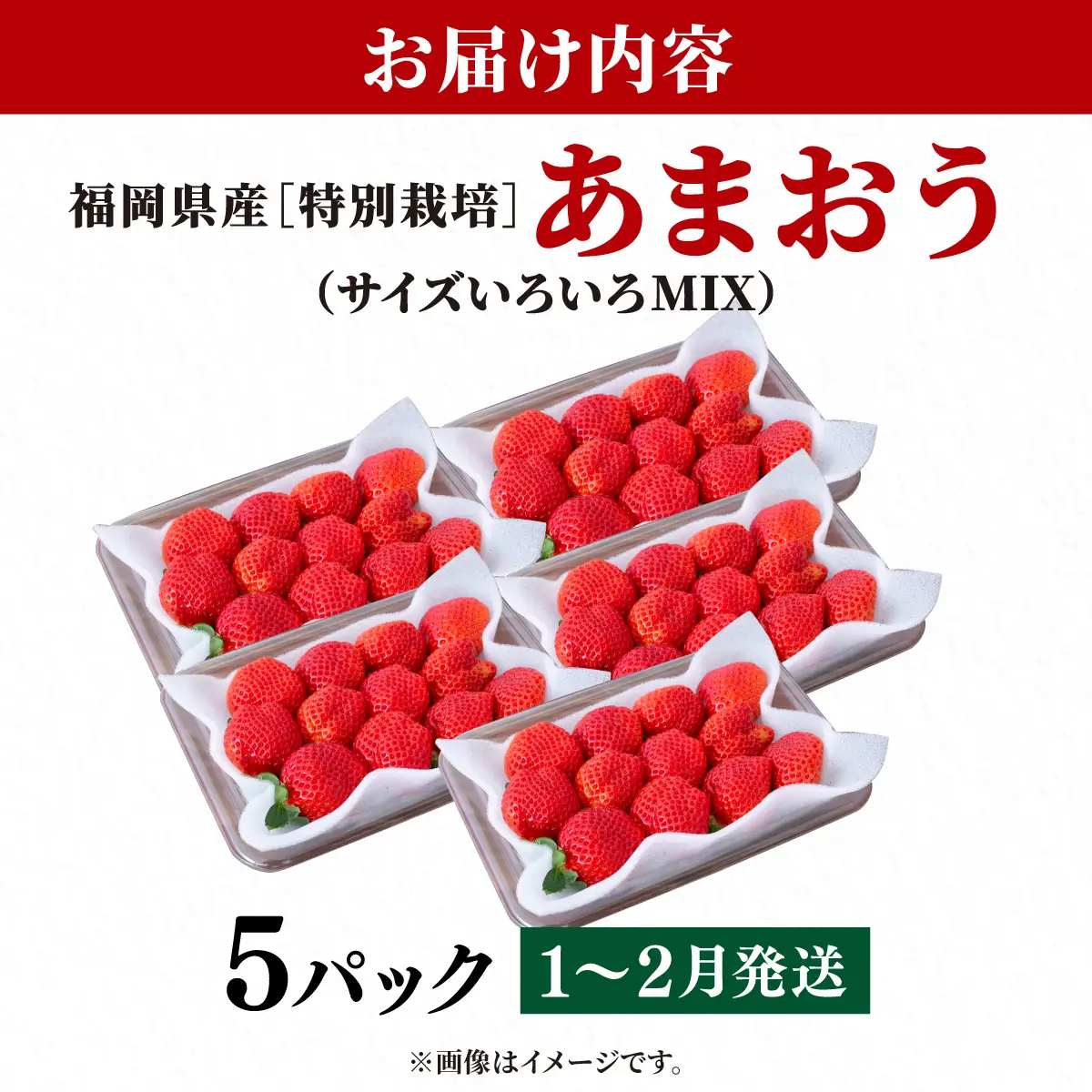 いちご 福岡県産 特別栽培 あまおう サイズいろいろMIX 約1425g（約285g×5パック）【1～2月発送】