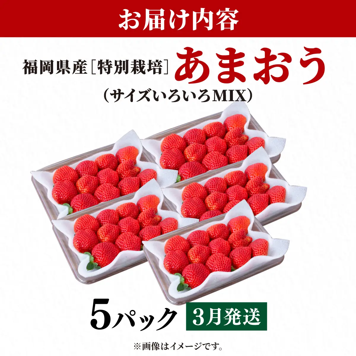 いちご 福岡県産 特別栽培 あまおう サイズいろいろMIX 約1425g（約285g×5パック）【3月発送】