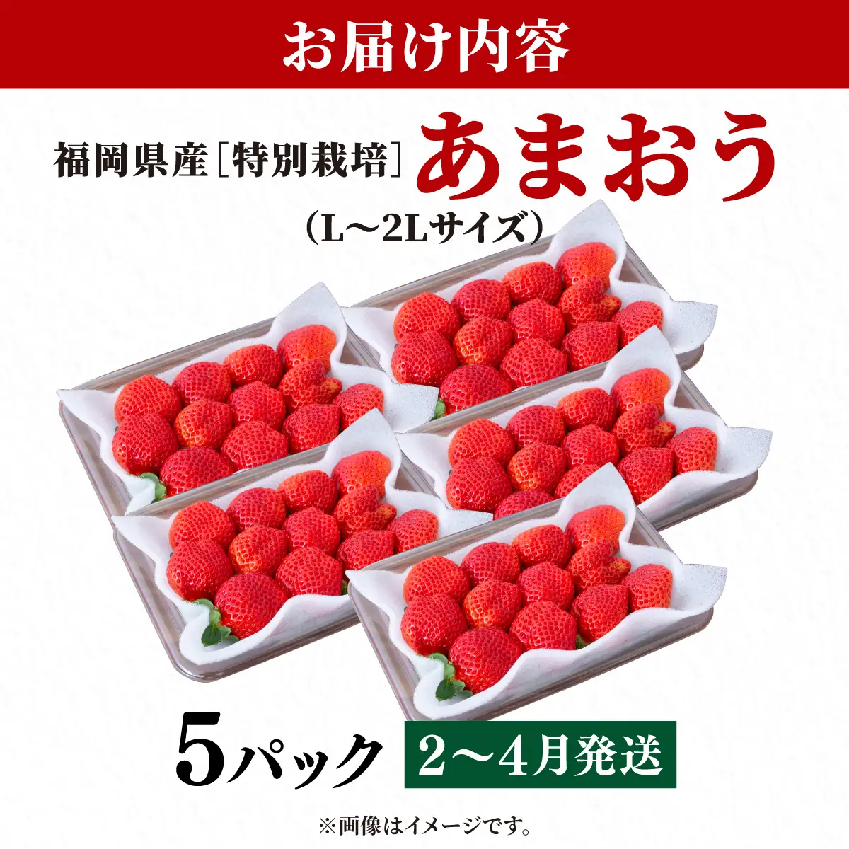 いちご 福岡県産 特別栽培 あまおう L~2Lサイズ（少し小ぶりサイズ）約1425g（約285g×5パック）【2～4月発送】| 農園直送 アフター保証 先行予約 福岡産 送料無料 ケーキ ギフト お祝い 限定 季節限定 UN015