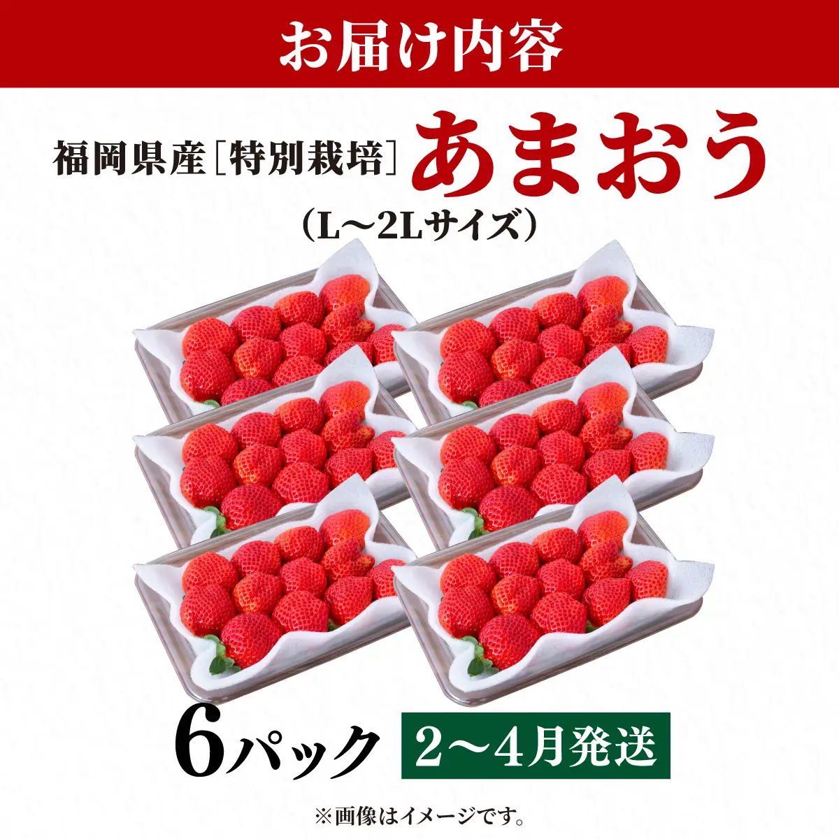 いちご 福岡県産 特別栽培 あまおう L~2Lサイズ（少し小ぶりサイズ）約1710g（約285g×6パック）【2～4月発送】