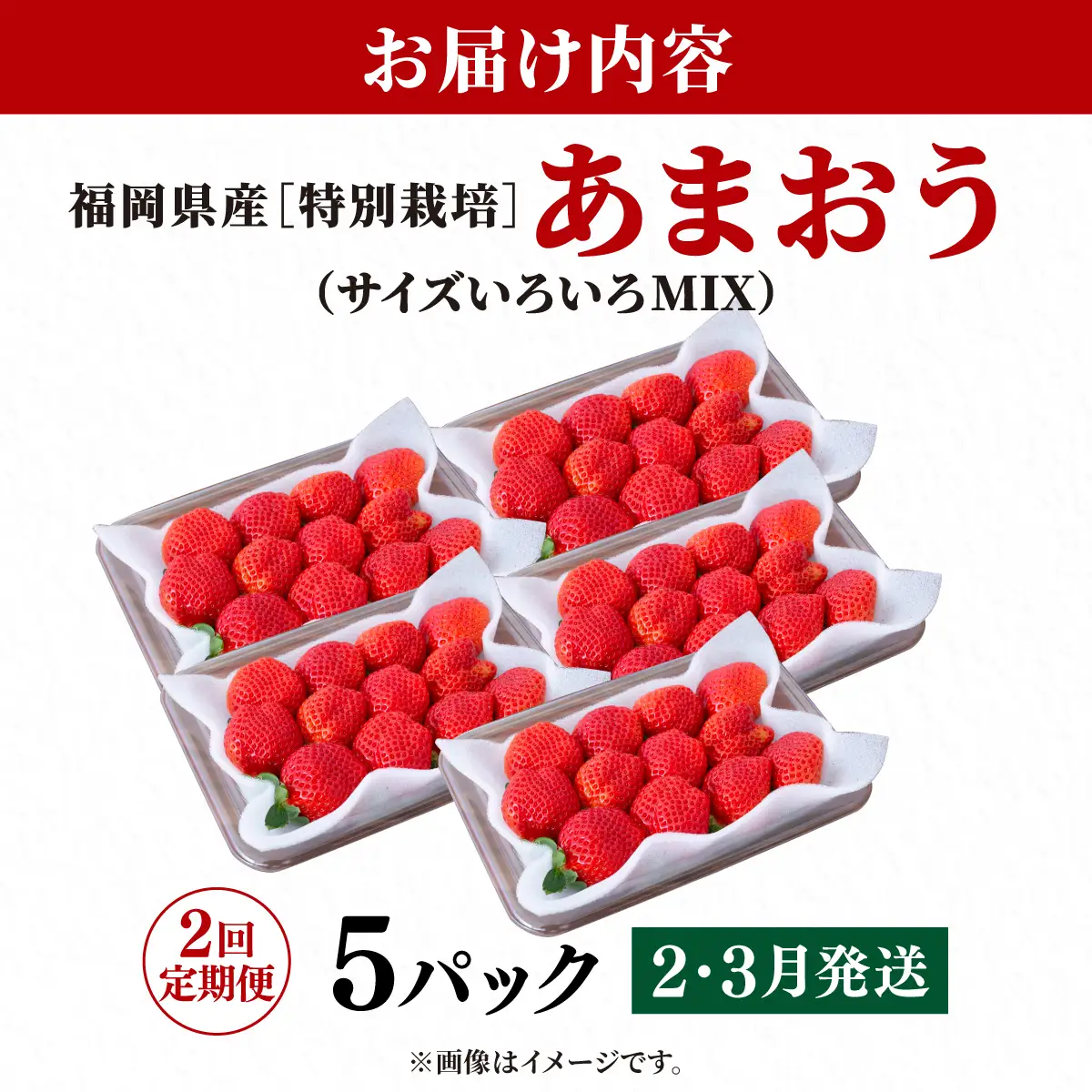 いちご 福岡県産 特別栽培 あまおう サイズいろいろMIX 約1425g（約285g×5パック）【2回定期便（2～３月発送）】