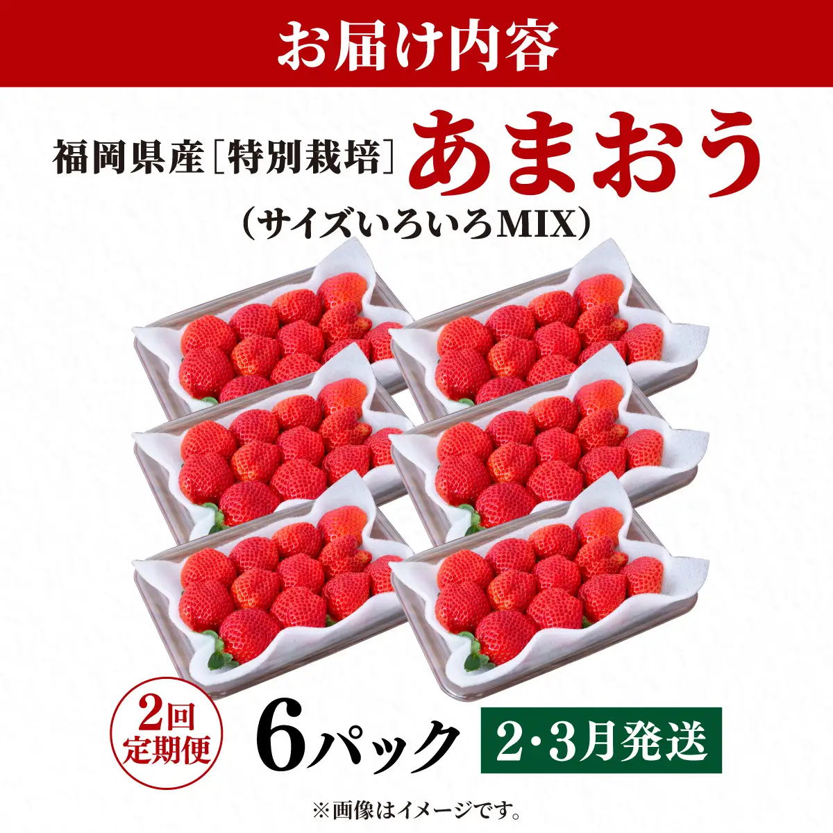 いちご 福岡県産 特別栽培 あまおう サイズいろいろMIX 約1710g（約285g×6パック）【2回定期便（2～3月発送）】