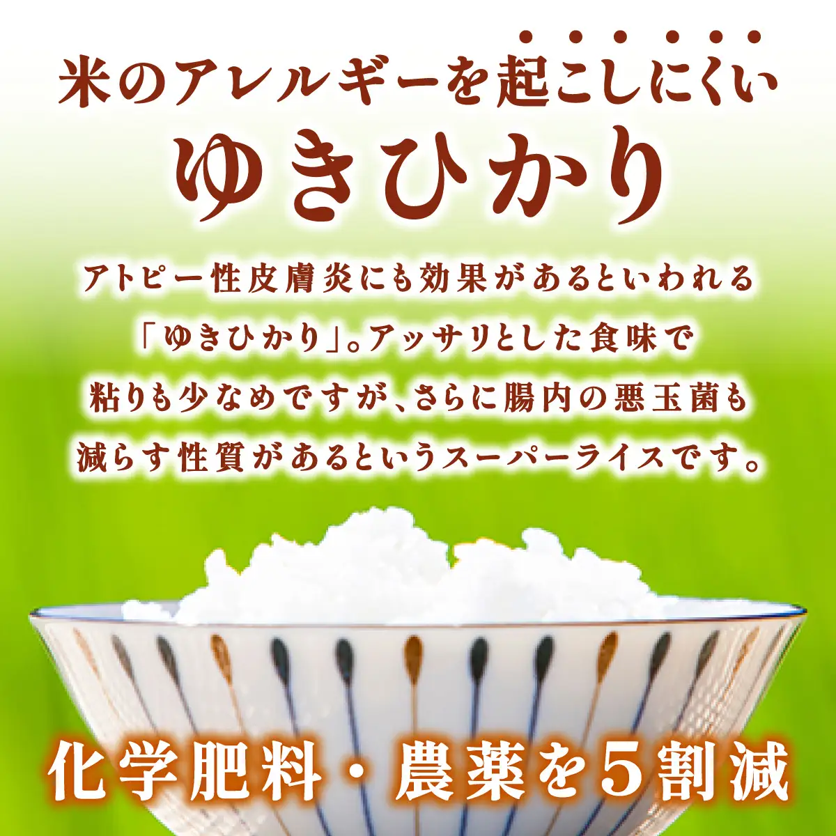上志文産メープル米 特別栽培米ゆきひかり 5kg【a121-034】