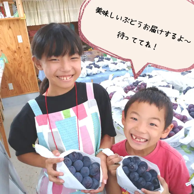 もりおか農園のよろこびぶどう ピオーネ 約1.2kg 2房 【先行予約 2026年9月上旬から順次発送】