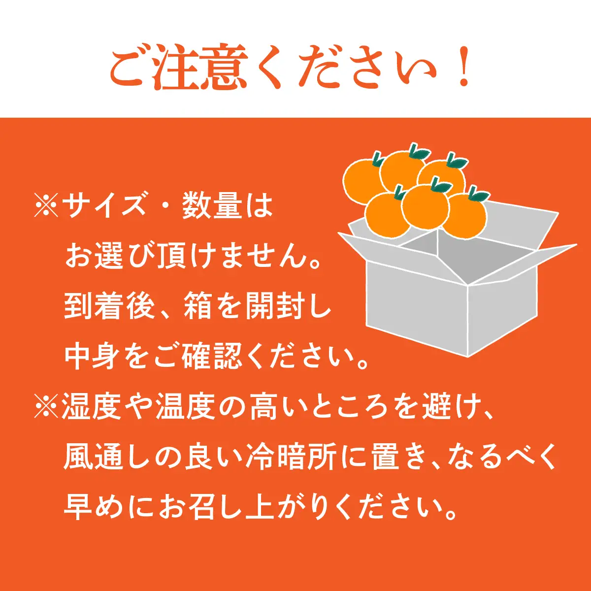 【先行受付】せとか 2.5kg レギュラー箱 みかん 柑橘