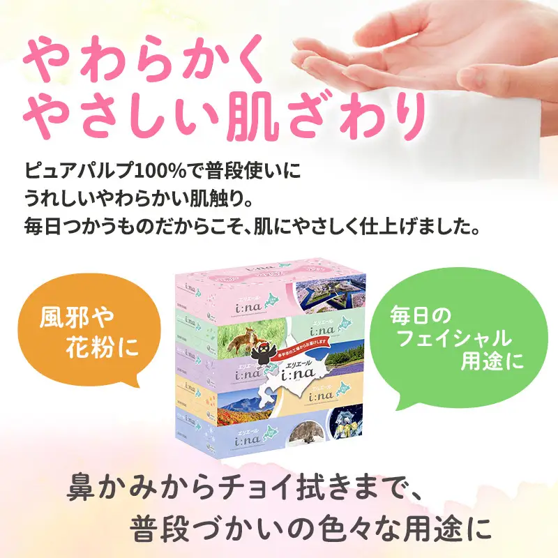 エリエールアソートi:naトイレットペーパーティッシュエリエール【定期便】