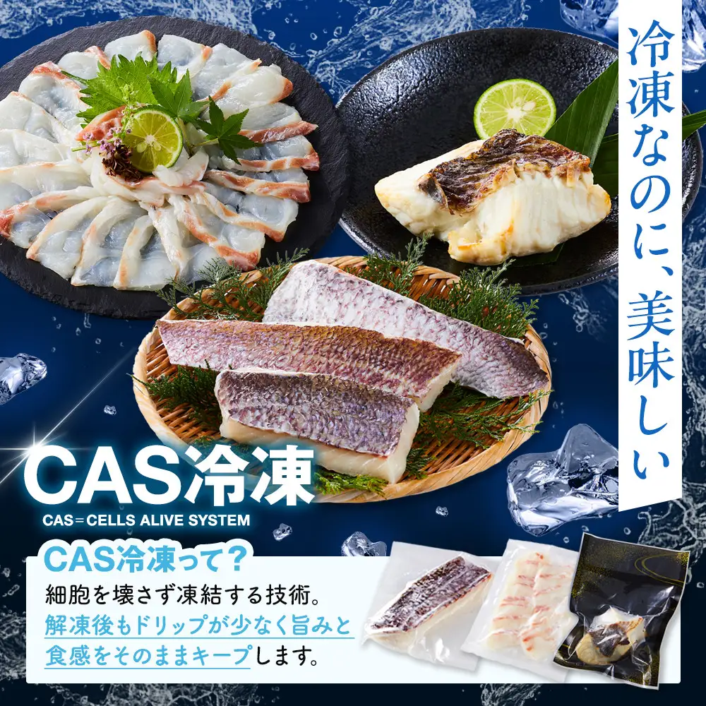 活〆 真鯛 塩焼き  100g × 3パック
