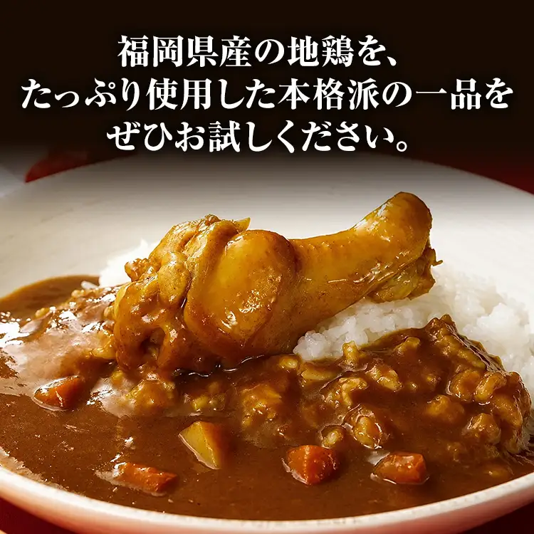 はかた地どり 手羽元カレー 中辛 (レトルト・3食) はかた地どり