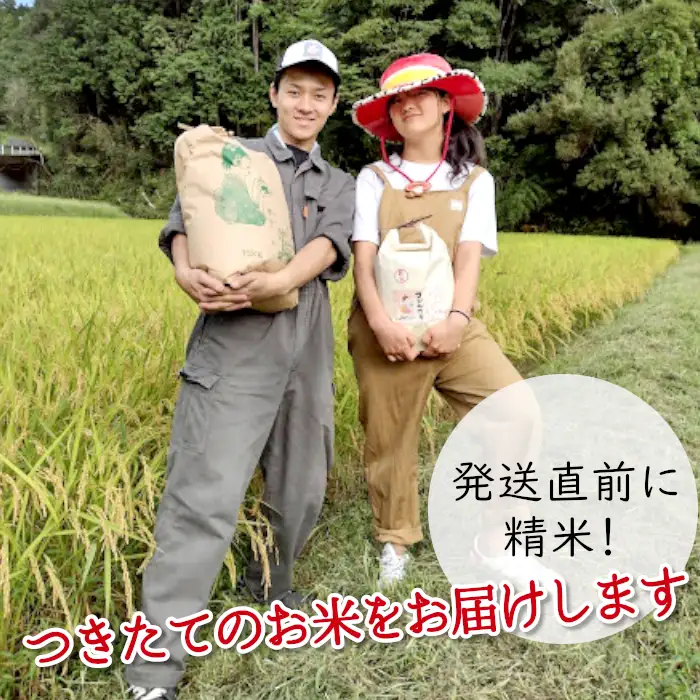 令和7年産 ミルキークイーン 5kg 米 白米 精米 岐阜県産 ブランド米 銘柄米 こめ お米