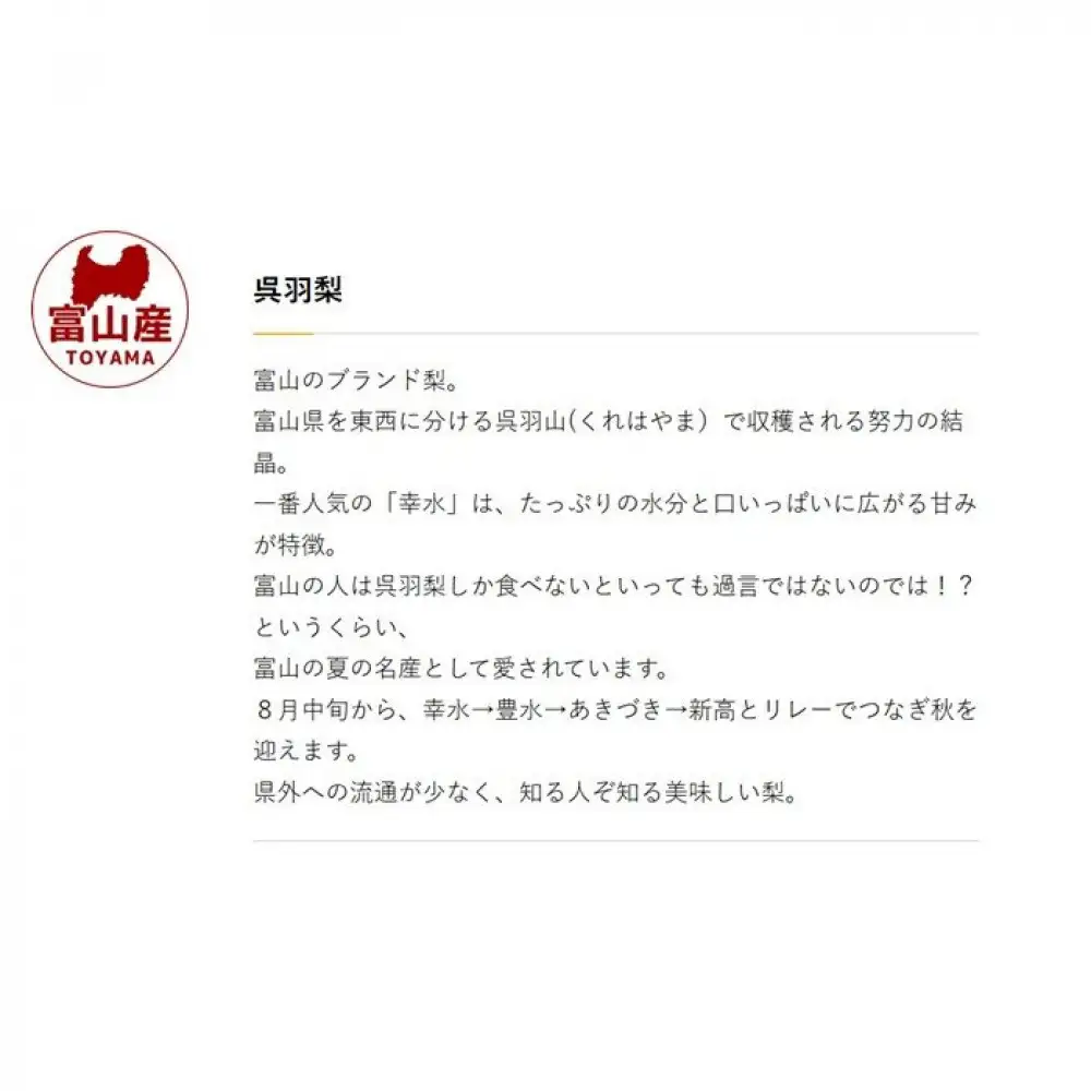 富山 大和百貨店 選定　呉羽梨　幸水　3kg（8個～10個入）