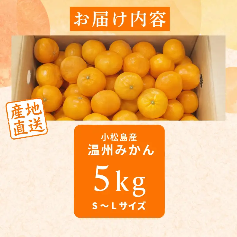 【2026年10月下旬順次発送】　みかん 5kg 温州みかん S~Lサイズ 小松島市