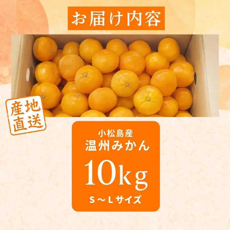 みかん 10kg 温州みかん S~Lサイズ 小松島市 ミカン