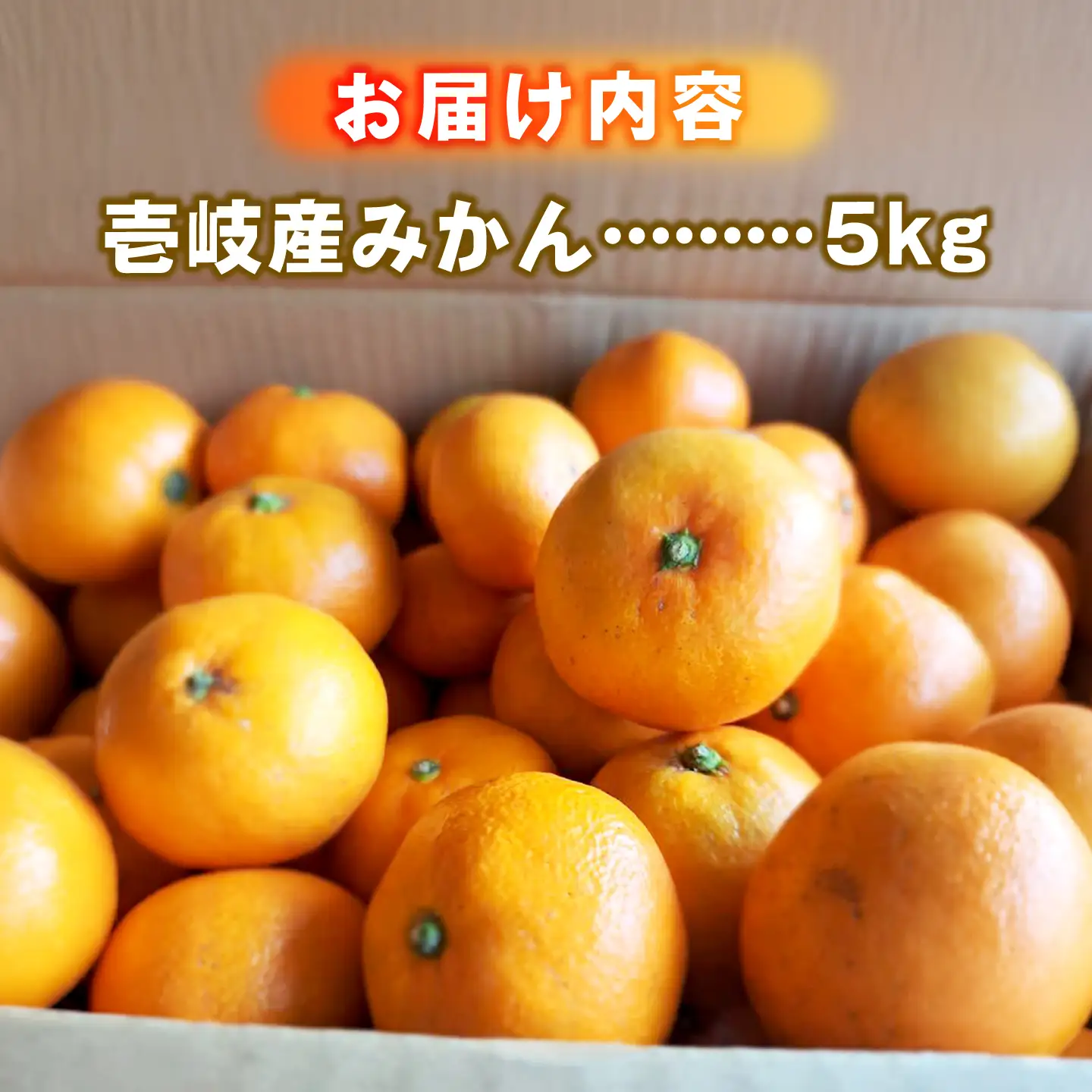 【先行予約】壱岐産みかん 5kg [JHE001] ミカン フルーツ