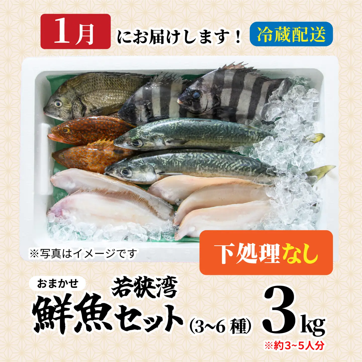 若狭湾鮮魚セット（下処理なし）おまかせ3kg以上（3～6魚種）【1月配送】  