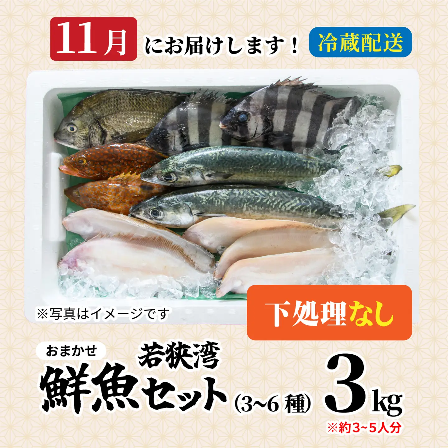 若狭湾鮮魚セット（下処理なし）おまかせ3kg以上（3～6魚種）【11月配送】  