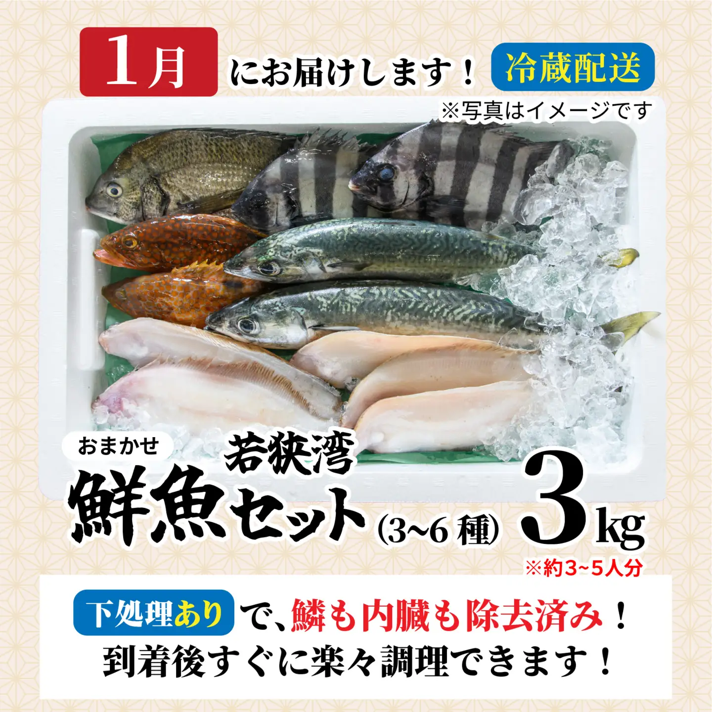 若狭湾鮮魚セット（下処理あり）おまかせ3kg以上（3～6魚種）【1月配送】  