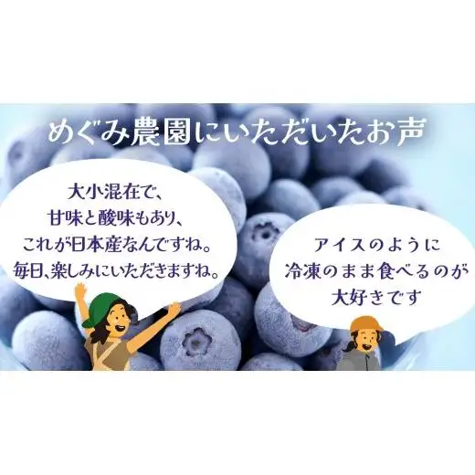 【 最短 7日以内 発送 】 冷凍 ブルーベリー 無選別（ 小玉 ～ 大玉 ） 500g 数量限定 国産 フルーツ スムージー 果物 くだもの 農家直送 スイーツ アイス ノーザンハイブッシュ系 ミックス [AT012tu]